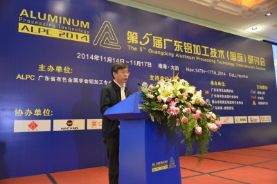 2014年11月15日，中国有色金属工业协会副会长文献军先生在会议上作重要讲话